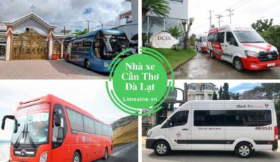 Top 8 Nhà xe Cần Thơ Đà Lạt đặt vé xe khách limousine giường nằm