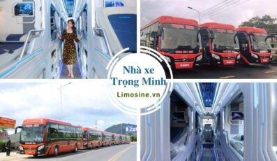 Nhà xe Trọng Minh - Chi tiết lịch trình, giá vé và số điện thoại đặt vé Đà Lạt