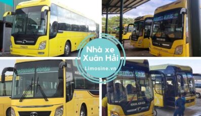 Nhà Xuân Hải - Số điện thoại đặt vé Quảng Ngãi đi Đà Lạt Phi Nôm Bảo Lộc