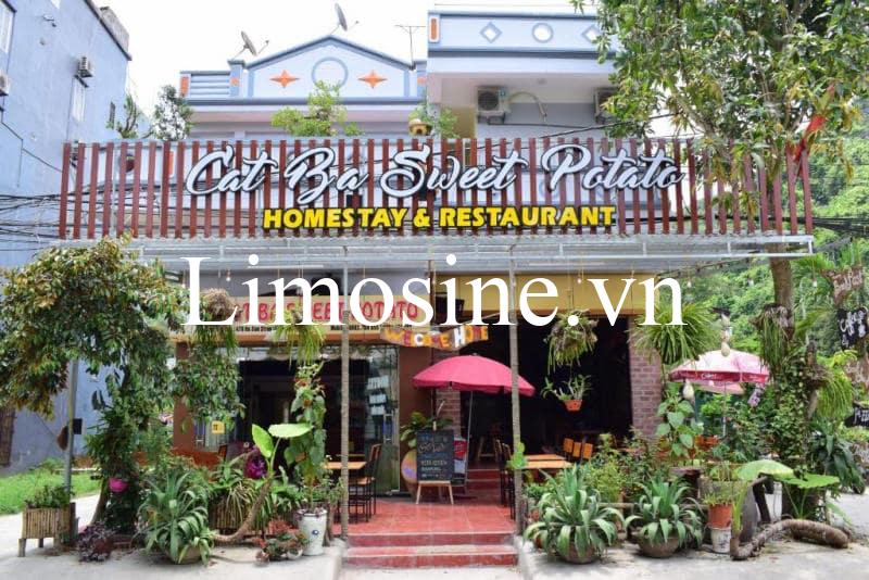 Top 15 Homestay Cát Bà giá rẻ đẹp gần biển có hồ bơi cho thuê nguyên căn