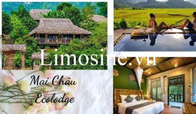 Top 20 Homestay Hòa Bình Mai Châu Kim Bôi Lương Sơn Thung Nai