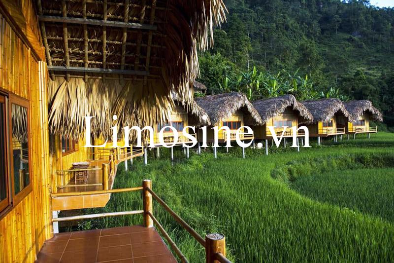 Top 11 Nhà nghỉ khách sạn homestay Hoàng Su Phì lodge view bungalow