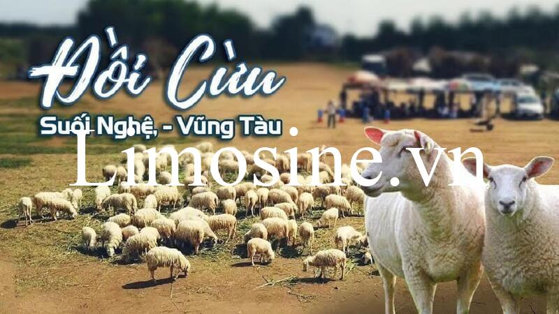 Đồi cừu Suối Nghệ Vũng Tàu: Giá vé và kinh nghiệm check-in chụp hình