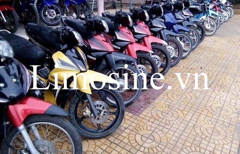 Top 11 Địa chỉ cho thuê xe máy Phan Rang Ninh Thuận giá rẻ uy tín