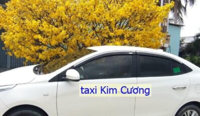 Top 12 Hãng taxi Giá Rai Bạc Liêu số điện thoại tổng đài 24/24